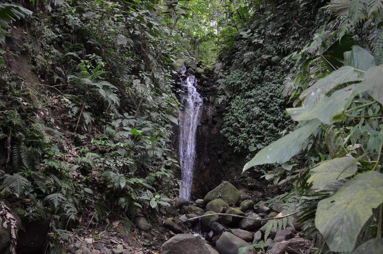 La FortunaLumbres Arenal别墅 外观 照片