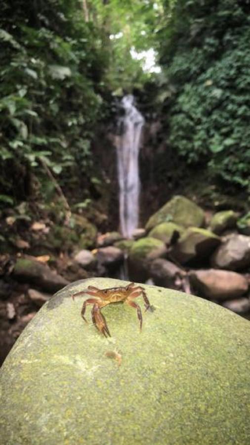 La FortunaLumbres Arenal别墅 外观 照片